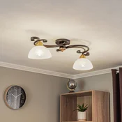 Luminex Stropna svetilka Flora, 2 steklena senčnika, črna/medenina - Dnevna soba/jedilnica - Podeželska hiša/Rustikalna - satenirano, črno, medenina - Steklo
