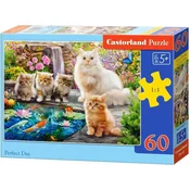 Castorland - Puzzle Popoln dan - 40 - 99 kosov