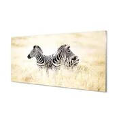 tulup.si Slika na akrilnem steklu Zebra polje 120x60 cm 4 obešalnika
