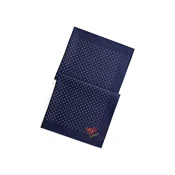 Polo Ralph Lauren svilena ruta moška svilena