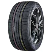 Tracmax X Privilo RS-01 Plus ( 315/30 ZR21 105Y XL)