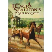 The Black Stallions Sulky Colt