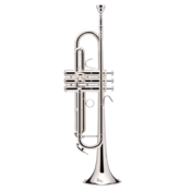Trobenta BS210-2-0 Prodige B&S