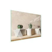 shumee Steklena zaščita za kuhalno ploščo 70x52 Cactus