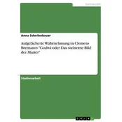 Aufgefächerte Wahrnehmung in Clemens Brentanos Godwi oder Das steinerne Bild der Mutter
