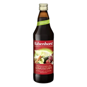 RABENHORST Sok od organskog povrca 750 ml