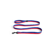 HAY Povodec za psa 2,5 x 160 cm