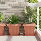Saksije za biljke 6 pcs Crvena cigla 38 x 38 x 30 cm Plastika