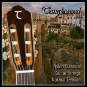 Tanglewood TWGS C Classical Nylon žice za klasicnu gitaru