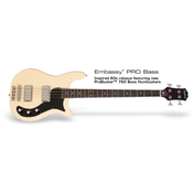 EPIPHONE bas kitara Embassy PRO AI