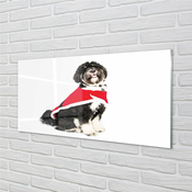 tulup.si Stenska plošča za kuhinjo Dog 125x50 cm