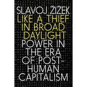 Like a Thief in Broad Daylight: Power in the Era of Post-Human Capitalism