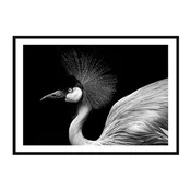 shumee PLAKAT ZA SLIKE V OKVIRJU 33x43 cm Ptica P2259