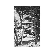 Rick Deitrick - Gentle Wilderness (Reissue) (LP)