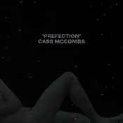 Cass Mccombs - Prefection (Reissue) (LP)