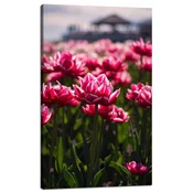 shumee Platno s tiskom Botanika Tulipani Cvetje 60x100 Cvetlični šopek