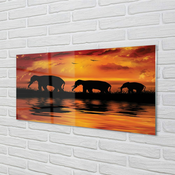 tulup.si Zidna obloga za kuhinju Sloni west lake 120x60 cm