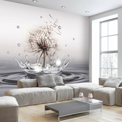 Foto tapeta - Wind Drops 150x105