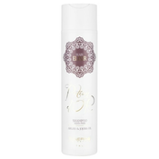 Sinergy Potion Dor Šampon sa arganovim uljem 250 ml | SINERGY COSMETICS | KOZMO