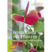 Prima Klima mit Pflanzen