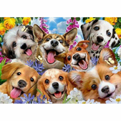 Puzzle Educa Doggy selfie 1000 Dijelovi