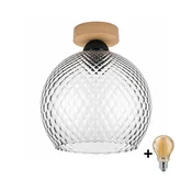 BRILAGI - LED stropna svetilka R GLASS 1xE27/60W/230V premer 25 cm hrast/dimno siva