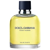 Dolce & Gabbana Dolce & Gabbana pour Homme Toaletna voda 125ml