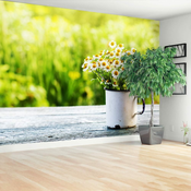 tulup.si Stenska fototapeta Daisy cvetje Tapeta 416x254 cm