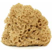 Cose della Natura Honeycomb-naravna spužva-Velik, 12-14 g
