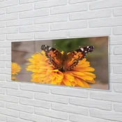 tulup.si Slika na akrilnem steklu Pisani metulj cvet 140x70 cm 4 obešalnika