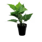 Dekordom Cvet u saksiji - taro mini - 35cm - n55 ( 025082 )