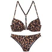 Bruno Banani Bikini bež/rjava/črna