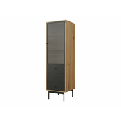 Regal Comfivo 416 S predali, Z vrati, Zaprte, Steklo, Iverna plošča, 180x52x48cm, Artisan hrast, Črna
