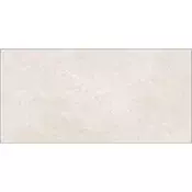 Elegant Taupe 60x120