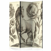 Paravan u 3 dijela - Horse [Room Dividers] 135x172