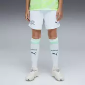 PUMA Switzerland 2026 Shorts Youth, Clothing, Sea Glass/Dark Indigo, 15-16Y