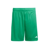 ADIDAS PERFORMANCE Športne hlače ENT26 zelena/bela