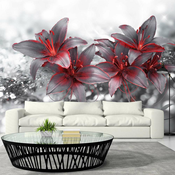 Foto tapeta - Shadow of Passion 300x210