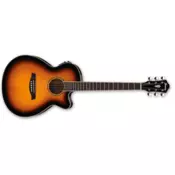 Ibanez AEG 10 II VS Akustična ozvučena gitara