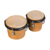 Bongo 2 kosa brez stojala začetni model Studio49