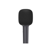 Xiaomi Karaoke Microphone