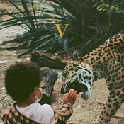 Unknown Mortal Orchestra - V (Box Set) (Limited Edition) (2 LP)