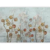 artgeist Fototapeta Painted Lunaria, 100x70cm