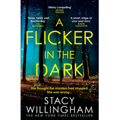 Flicker in the Dark