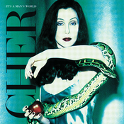 Cher - ItS A ManS World (2 LP)