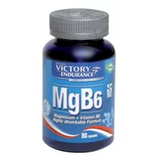 VICTORY ENDURANCE - MgB6