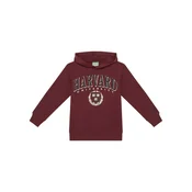 United Colors Of Benetton Jopa 32N4C204U Bordo rdeča Regular Fit