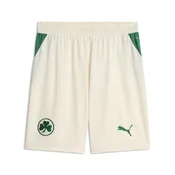 PUMA Greuther Fürth 26/27 Shorts Men, Sport, Sugared Almond/Power Green, XS