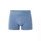 Modre boksarice Celio Niboflamin