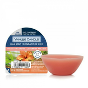 Dišeči vosek Yankee Candle, nov - The Last Paradise
